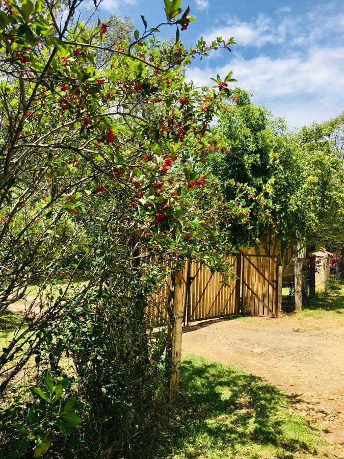 Clavellino House En Villa De Leyva - Tranquilidad Y Naturaleza En Reserva Natural Urbana! 외부 사진