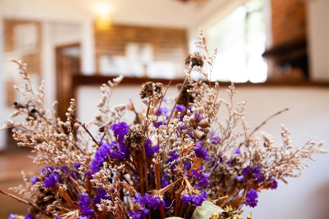 Clavellino House En Villa De Leyva - Tranquilidad Y Naturaleza En Reserva Natural Urbana! 외부 사진