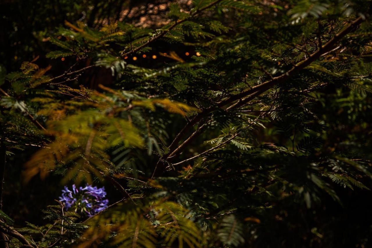 Clavellino House En Villa De Leyva - Tranquilidad Y Naturaleza En Reserva Natural Urbana! 외부 사진