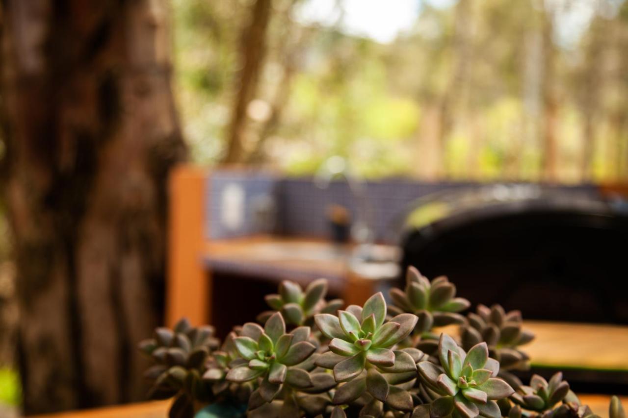 Clavellino House En Villa De Leyva - Tranquilidad Y Naturaleza En Reserva Natural Urbana! 외부 사진