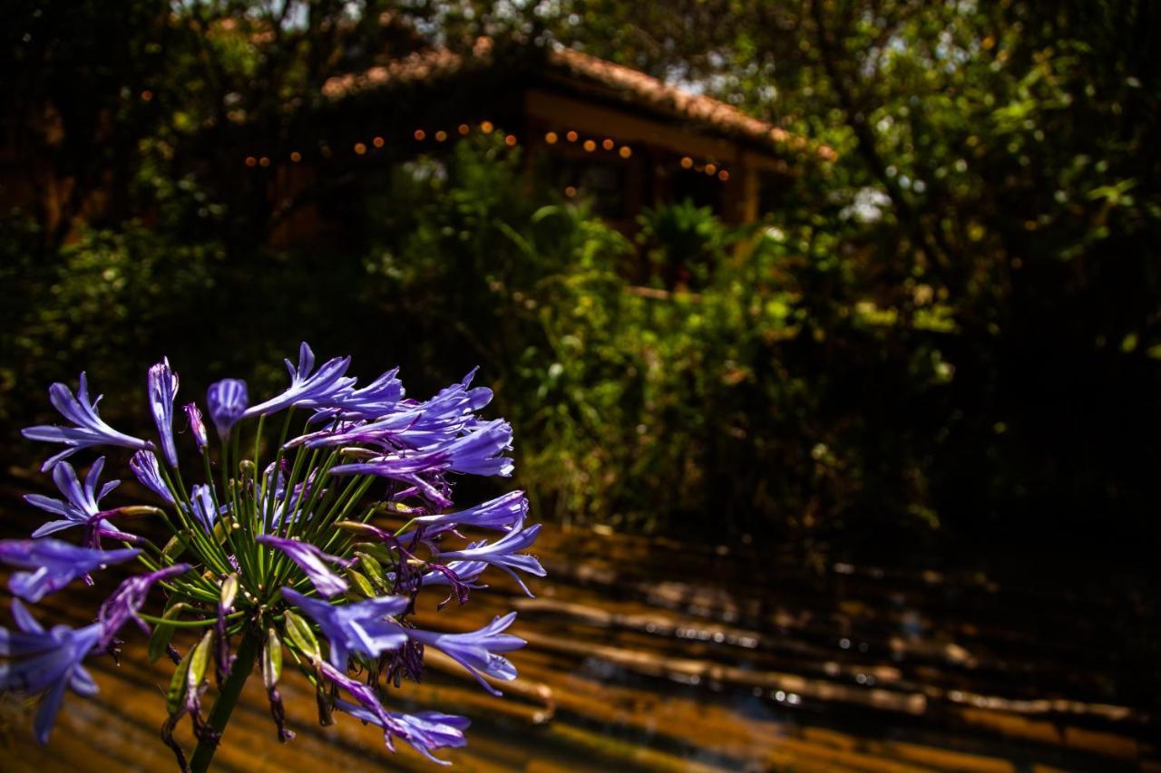 Clavellino House En Villa De Leyva - Tranquilidad Y Naturaleza En Reserva Natural Urbana! 외부 사진