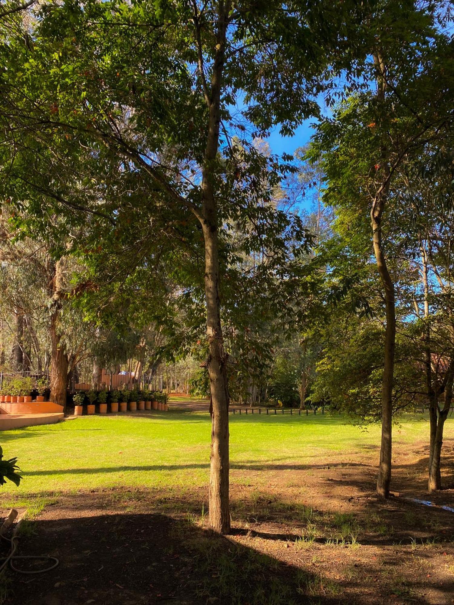 Clavellino House En Villa De Leyva - Tranquilidad Y Naturaleza En Reserva Natural Urbana! 외부 사진